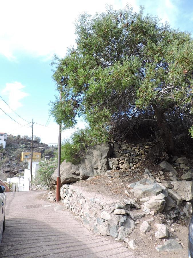 Casa Lilia, En Taganana Villa Santa Cruz de Tenerife Buitenkant foto